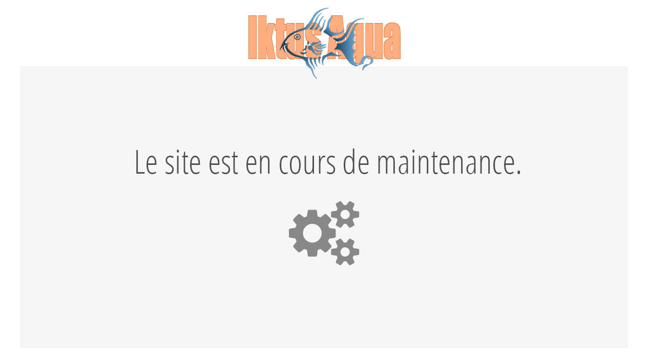 Site en maintenance